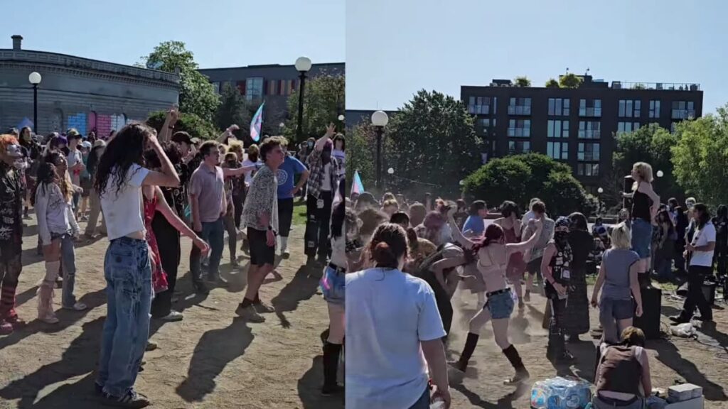 Seattle’s Young Rebels Counter Fascist Protests with Punk Show: ‘Proud of These Kids’ A picture of Seattle's young rebels.