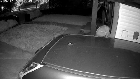 A picture of the Texas creep.