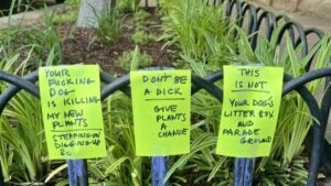 A picture of the Washington man's signs.