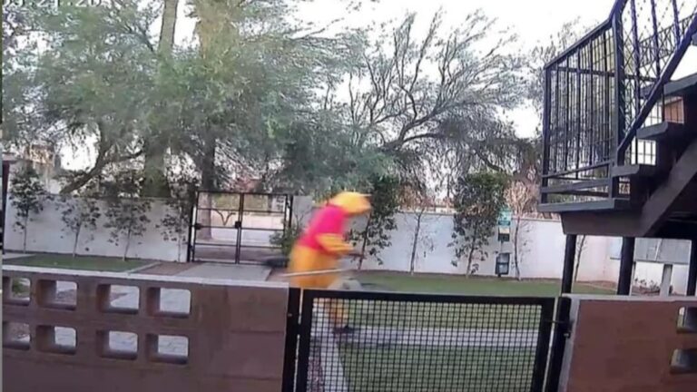A picture of Winnie the Pooh in Arizona.