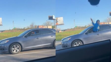 A picture taken by the New York woman.