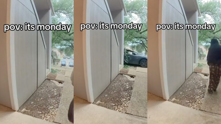 Car Comes Crashing Into a Garden in Austin but Person Has Zero Survival Instincts: ‘Person Is Not an Emergency Contact’ Car crashes into garden in Austin, Texas