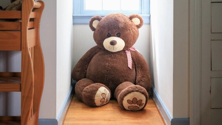 New Jersey Teddy Bear Cash