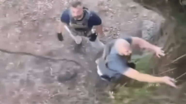 Inhumane ICE Agents in Massachusetts Chase Immigrant Workers Up Into A Tree in Wild Viral Clip ‘Ice agents look a lot like Proud Boys’