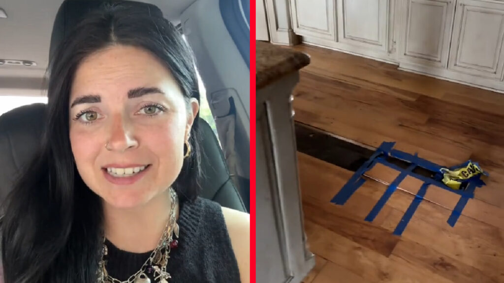 Bougie North Carolina Homeowner Expects Foreclosed Home to Be Served on a Silver Platter, ‘The More We Walked Around, the More We Noticed Little Things’ paris.earle, a tiktoker from north carolina, showcasing a damaged foreclosed home