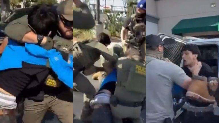 Ice Agents Choke California Walmart Worker in Daylight Kidnapping After Being Blocked in Parking Lot: ‘Took 4 Cowards for a Kid’