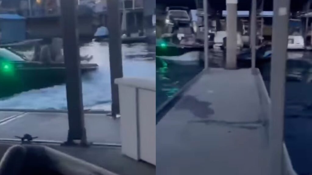 Boat Full Of Wasted Morons Rams Into Jet Ski In Wild Hit-and-Run In Discovery Bay, California