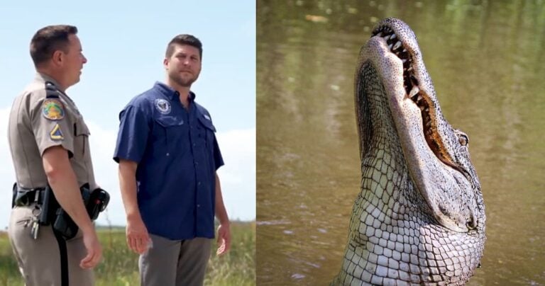 Florida’s ‘Alligator Auschwitz’ ICE Facility Sparks Outrage: ‘Evil AND racist; only the best for daddy Trump’ Florida alligator detention centre