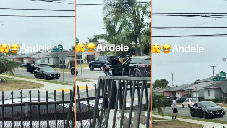 ICE Agent in California Forgets Parking Brake and Damages Pedestrian Car 'These Clowns are Not Trained Law Enforcement'