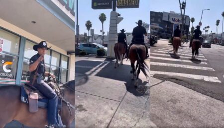 Los Angeles mounted officer rant