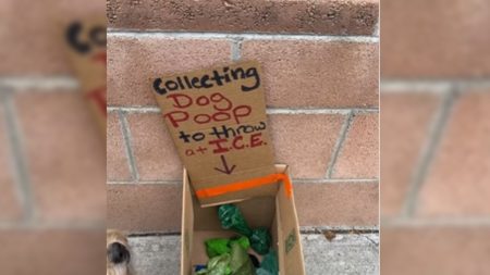 Los Angeles Person Collecting Poop to Throw at ICE
