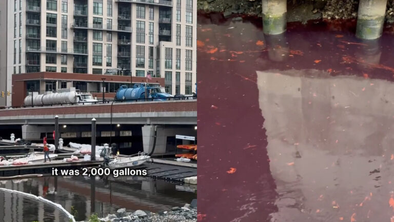 Baltimore Harbor Sees Red After 2,000 Gallon Diesel Spill: ‘Poor Wildlife’ Baltimore Harbor Maryland Sees Red After 2,000 Gallon Diesel Spill: ‘Poor Wildlife'