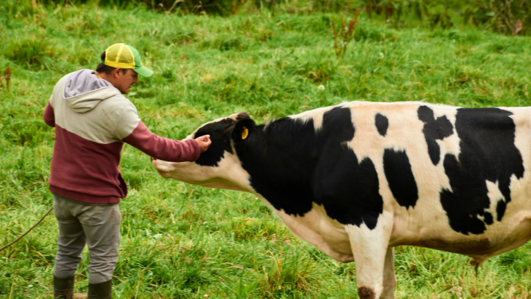 Wisconsin Farmer Takes Legal Action Against Trump: ‘It’s Just an Insane Loophole for Trump Supporters To Get Rich off of the Government’ Wisconsin Farmer Takes Legal Action Against Trump Administration