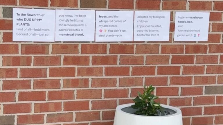 A picture of the Baltimore witch's signs.