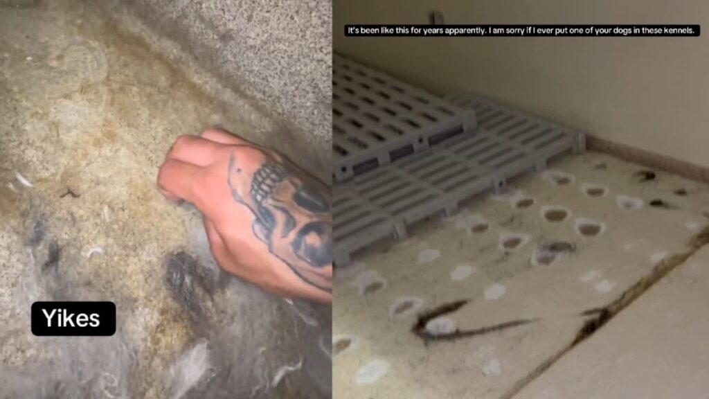 Fed Up Iowa Worker Spills Petco’s Dirty Secrets and Gets Fired: ‘What Outcome Did You Expect’ A picture taken by the Iowa worker.