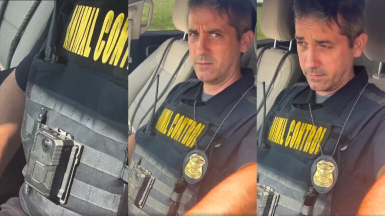 animal control officer in detroit