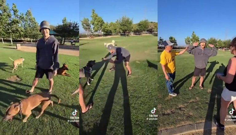 California ‘Whack Job’ Sparks Chaos at Chino Hills Dog Park Over Pitbull Training Dispute: ‘Watching too much Cesar Milan’ Chino Hills dog trainer