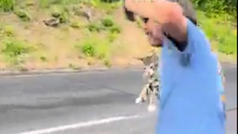 Deranged Portland Man Allegedly Caught Urinating on a Cat With a Cord Around It’s Neck ‘This is sick’