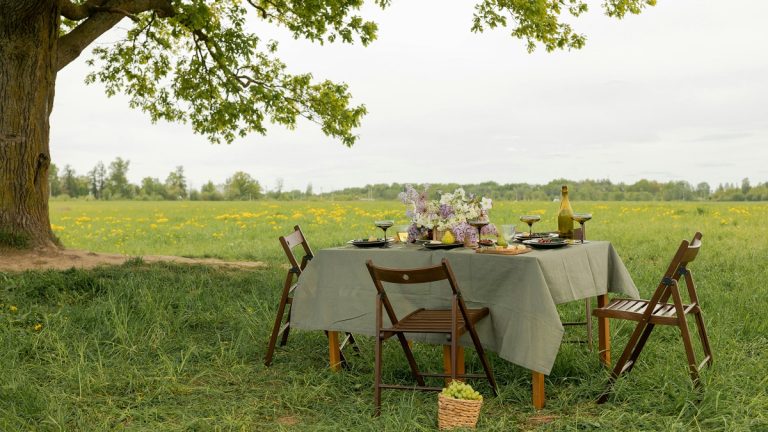 New Jersey Wedding Guest Finds Food Skimping at Venue, ‘I Wasn’t Expecting Gold-Encrusted Steak on a Platter’ decorated picnic table with chairs, next to a tree and field