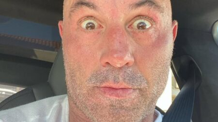 Joe Rogan Slammed After Commenting On Unhinged Netflix ‘Liver King’ Stalking Him: ‘He Has Brain-Eating Parasites’ Joe Rogan selfie