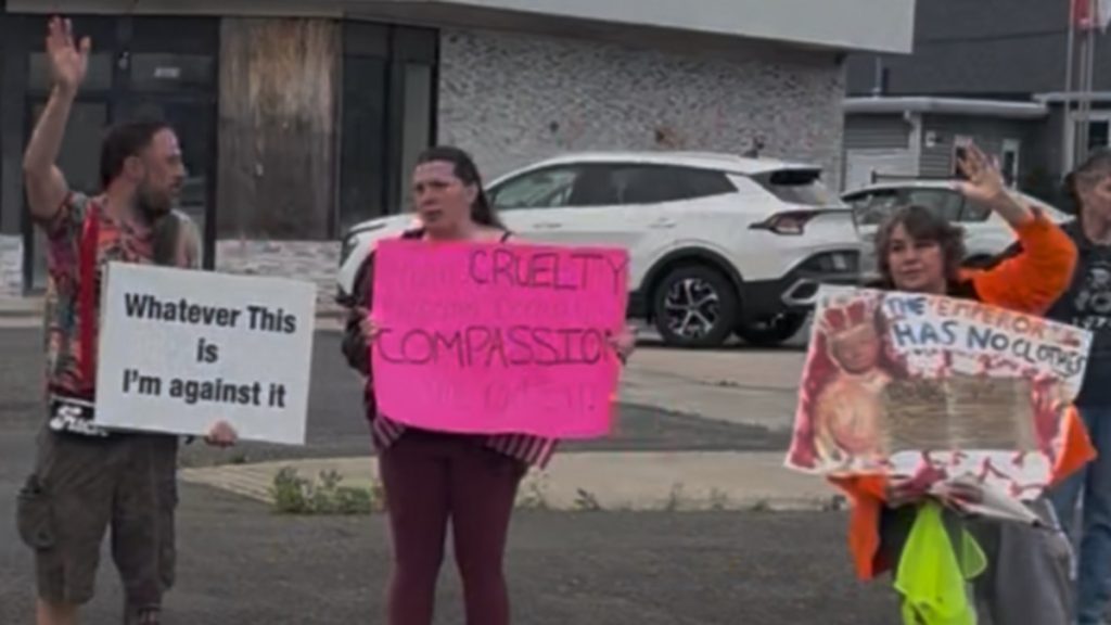 Defiant Massachusetts Liberals Represent No Kings Even in A Very Conservative Town ‘No Trump Here’