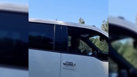 California Anti-ICE Sign