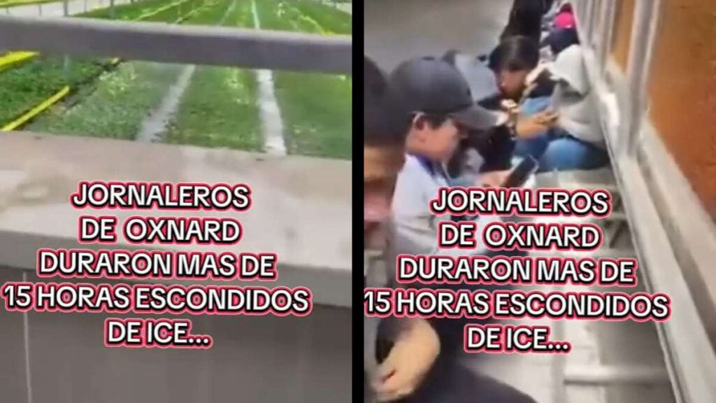 California Immigrant Laborers Spend Over 15 Hours Hiding From ICE: ‘Don’t Give Away Their Hiding Places ☹️’ California laborers hiding ICE