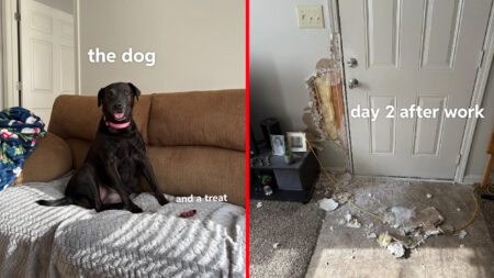 Dog Sitting Disaster Leaves Tennessee Friend With Questions and Fears About Her Friendship