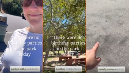 Los Angeles Woman Notes Lack of Birthday Parties at Local Parks, 'It's Like Everything Went Off a Cliff'