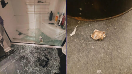 Neighbors Strike Fear as They Shoot into Tennessee Man’s New House