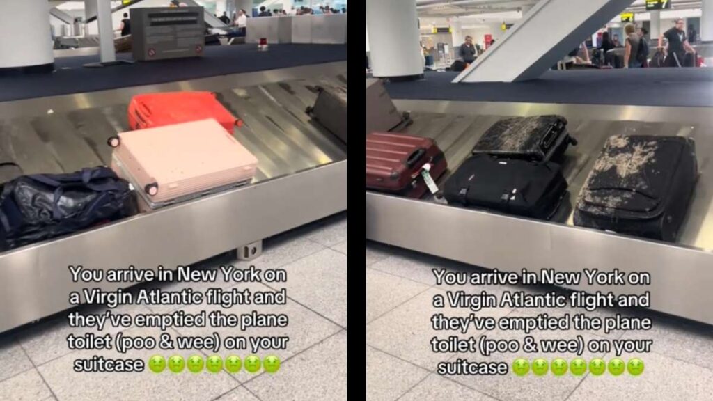 New York Airplane Employees Deface Passengers’ Belongings by Dumping All the Waste on Their Bags: ‘Uhm, Is That Not a Major Health Hazard?’ New York Airplane Dump Waste