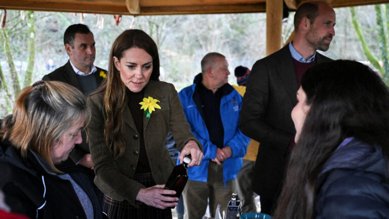 Prince WIlliam and Kate Middleton visit Pontypridd in Wales on royal engagement.