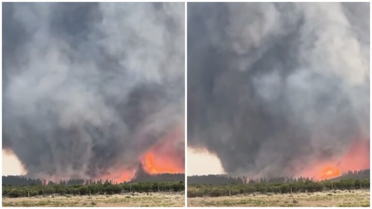 Viral Footage of Utah ‘Firenado’ Is Pure Nightmare Fuel: ‘I’d Take Fire Over Sharks Though’ Viral Footage of Utah 'Firenado' Is Pure Nightmare Fuel
