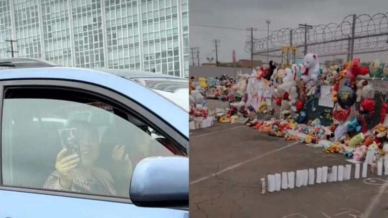 A picture of the California pair.