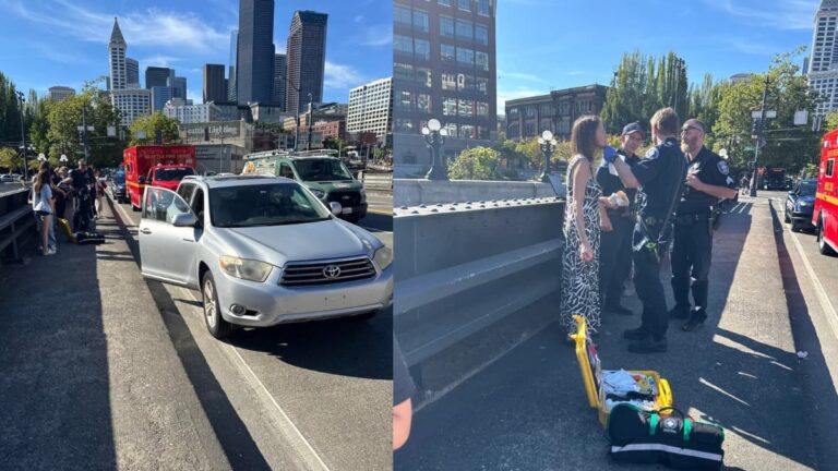 Unsuspecting Seattle Mother Shot in the Face with Pellet Gun While Driving with Kids: ‘This Person Shot to Kill’ A picture of the Seattle mother.