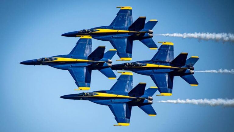 fighter jets cause cat death