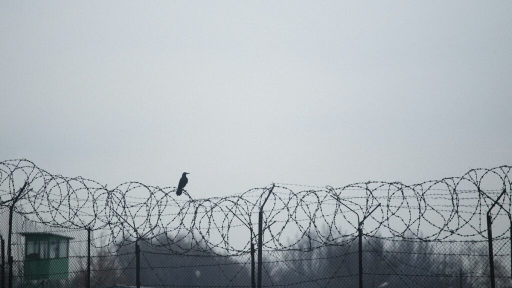 Utah Wife Who Endured Husband’s Abuse Over Deportation Fears Perishes in Fire Caused by Husband: ‘How Many Women are Trapped in Similar Situations?’ Utah wife abused and died in fire