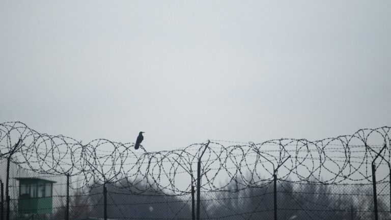 Utah Wife Who Endured Husband’s Abuse Over Deportation Fears Perishes in Fire Caused by Husband: ‘How Many Women are Trapped in Similar Situations?’ Utah wife abused and died in fire