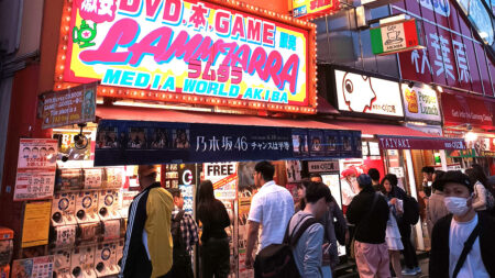 Even Video Game Surveys Reveal Japan’s Shrinking Youth Even Video Game Surveys Reveal Japan's Shrinking Youth