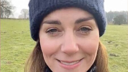 Kate Middleton’s Wimbledon Appearance Is ‘Worrisome’: ‘This Is Disturbing To See’ Kate Middleton selfie video