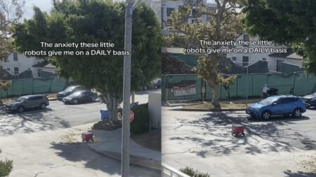 California Woman Has Empathy for Coco Robot Struggling to Cross Busy Street, ‘I Thought I Was Going to Witness a Murder’ California Woman Has Empathy for Coco Robot Struggling to Cross Busy Street