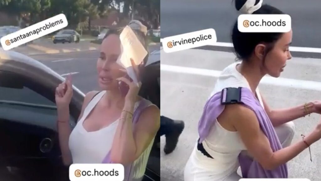 Bougie California Woman Harasses Fender Bender Victim For Her ‘Papers’ While Telling Cops ‘I’m A White Female’