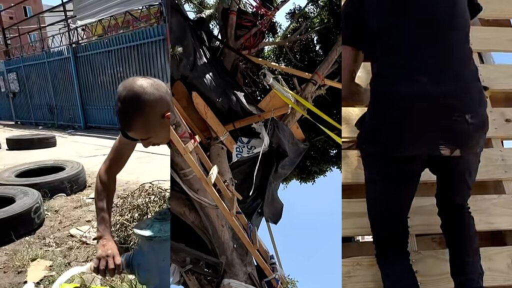 Los Angeles Officials Slammed For Demolishing Homeless Man's Three-Story Treehouse