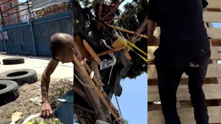 Los Angeles Officials Slammed For Demolishing Homeless Man's Three-Story Treehouse