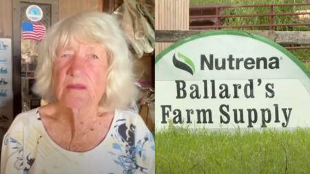 Florida Woman Beaten and Dogs Stolen