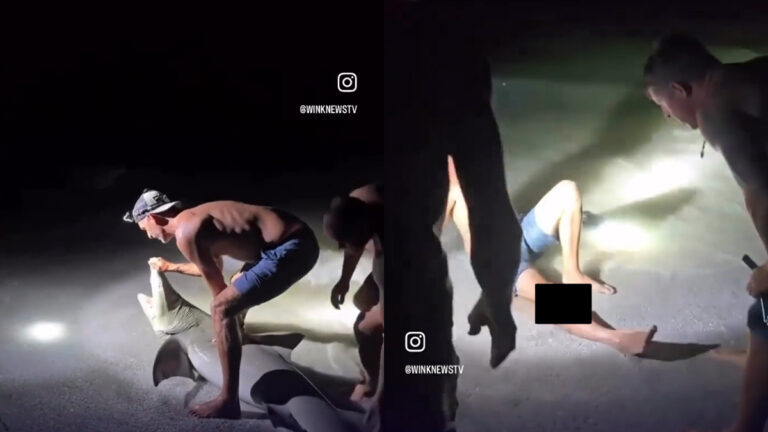 Boca Grande Shark Bite Sends Man to Gulf Coast Medical Center: ‘Apex Predator vs. Florida Man’ Boca Grande Shark Bite Sends Man to Gulf Coast Medical Center: ‘Apex Predator vs. Florida Man’