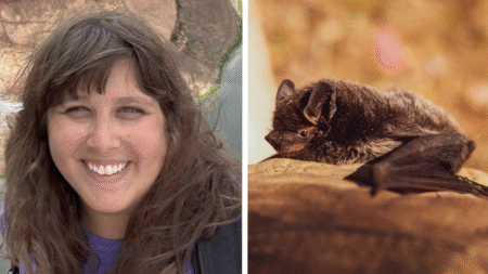 Massachusetts Woman Nearly Swallows Bat for $21,000