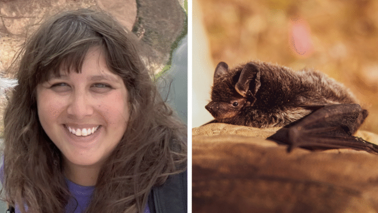 Massachusetts Woman Nearly Swallows Bat for $21,000: ‘I Know What Bats Taste Like Now’ Massachusetts Woman Nearly Swallows Bat for $21,000