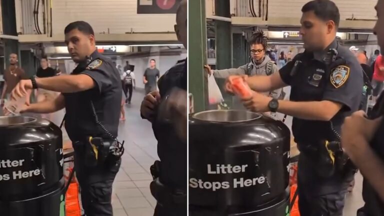 Unjust New York Police Officers Destroy a Fruit Vendor’s Livelihood By Throwing All Her Product Away, ‘WTF Is Wrong With Society’ New York Fruit Vendor attacked by cops