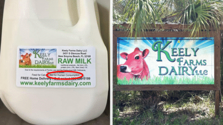 Pregnant Florida Fed Her Toddler Raw Milk